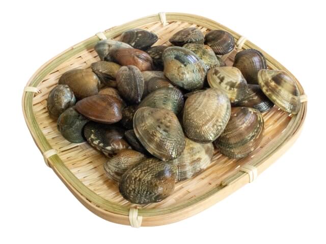 あさりの砂抜きを一晩したら死ぬのはウソ 常温で平気 臭いは さっくの気になる情報発信 あさりの砂抜きを一晩したら死ぬのはウソ 常温で平気 臭いは さっくの気になる情報発信